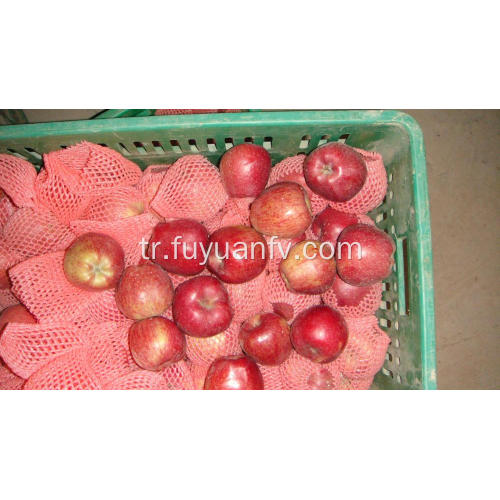 Hotsale tatlı ve gevrek kırmızı yıldız elma